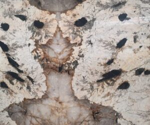 galeri (18)